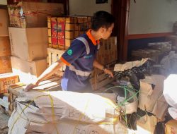 Tumbuh 17 Persen, Kinerja Angkutan Retail KAI Logistik Sepanjang Semester I 2026 Semakin Positif
