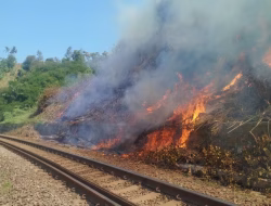 Musim Kemarau, KAI Daop 2 Bandung Himbau Masyarakat Tidak Membakar dan Membuang Sampah Sembarangan di Sekitar Jalur Rel
