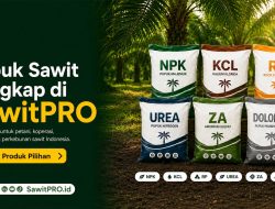 SawitPRO Hadirkan Pilihan Pupuk Sawit Lengkap untuk Kebutuhan Petani dan Perkebunan