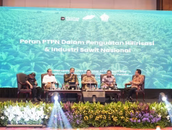 Holding Perkebunan Nusantara Dorong Hilirisasi Sawit, PalmCo Serap 6,8 Juta Bibit Bersertifikat