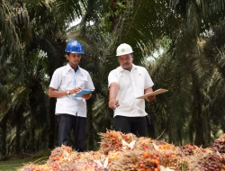 Holding Perkebunan Nusantara Perkuat Daya Saing SDM, PalmCo Targetkan 5.120 Sertifikasi Kompetensi