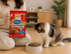 Dry Food Kucing yang Bagus untuk Kesehatan dan Nutrisi Anabul