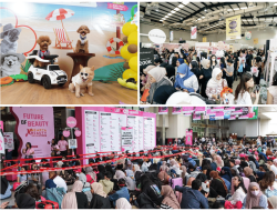 Kalender Event Jakarta yang Semakin Padat di Bulan Juli Mendorong Tren Liburan Akhir Pekan Berbasis Pengalaman
