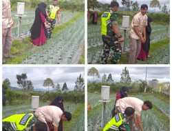 Dukung Program Ketahanan Pangan, Babinsa Koramil 06/Bukit Aktif Dampingi Petani