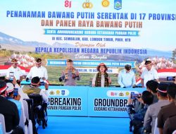 Polri Dorong Percepatan Swasembada Bawang Putih, Tanam Serentak Dan Panen Raya Di Sembalun