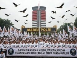 Kasus Ria Norsan Belum Jelas, RAJAWALI: KPK Dan Polri Harus Berani Dan Tegas