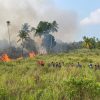 Lanal Ranai Bersinergi Padamkan Kebakaran Lahan Gambut ± 30 Hektar di Cemaga Tengah