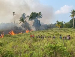 Lanal Ranai Bersinergi Padamkan Kebakaran Lahan Gambut ± 30 Hektar di Cemaga Tengah