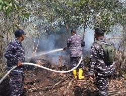 Respons Cepat, Lanal Banjarmasin Bersama Tim Gabungan Lokalisir Karhutla di Guntung Damar