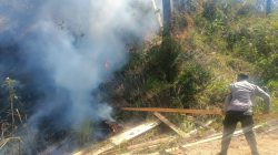 Polsek Bukit Bersama Warga Padamkan Kebakaran Lahan di Tingkem Bersatu