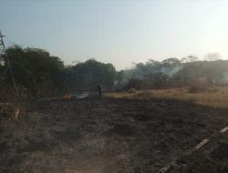 Iseng Bakar Sampah Lahan Kosong ± 500 M Milik Pemerintah Desa Palimanan Barat Ludes Terbakar