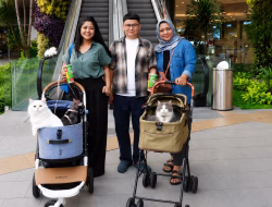 Main Bareng Anabul Di Grand Galaxy Park yang Cat Friendly