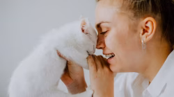 Kenali 8 Penyebab dan Cara Mengatasi Kucing Menangis