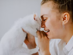 Kenali 8 Penyebab dan Cara Mengatasi Kucing Menangis