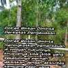 Tambang Pasir Bintan Disebut Kembali Mau Bergerak, 22 September 2026 Informasi Pembagian Uang Muncul – Siapa Bermain di Baliknya?