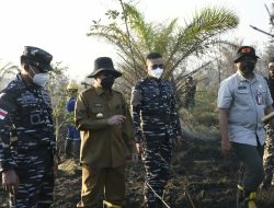 Lawan Karhutla, Danlanal Banjarmasin Bersama Forkopimda Kalsel Turun Langsung ke Hutan Lindung Kurnia