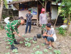 Babinsa Koramil 03/TG Anjangsana dan Pendampingan Teknis Kepada Petani Guna Perkuat Ketahanan Pangan