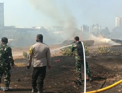 Kodim 0502/JU Kerahkan Personel Dan Water Tank Bantu Padamkan Kebakaran Lahan Alang-Alang Di Belakang ITC Mangga Dua