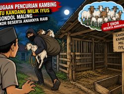 SATU KANDANG KAMBING MILIK IYUS DIGONDOL MALING, 7 EKOR BESERTA ANAKNYA RAIB