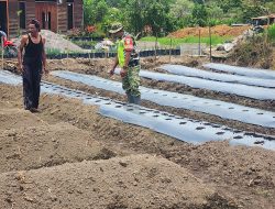 Babinsa Koramil 02/Bebesen Dukung Ketahanan Pangan Bersama Warga Desa Tansaril