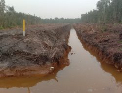 Proyek Tanpa Papan Nama Diduga Proyek Siluman Tidak Transparan.