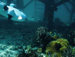 Bathymetry Survey dengan ROV: Cara Memetakan Dasar Perairan Secara Akurat