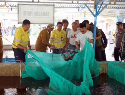 Sinergi Pemda Halmahera Utara dan NHM Peduli: Dorong Kemandirian Pangan Melalui Sukses Budidaya Bioflok BUMDes Sadaka Farm