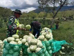 Babinsa Koramil Jagong Perkuat Ketahanan Pangan Bersama Warga di Aceh Tengah
