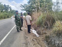 Sukseskan Program KDKMP, Babinsa Negeri Antara Bersama Pemdes Ukur Lahan Rencana Lokasi Pembangunan