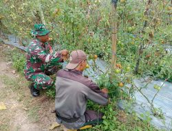 Babinsa Koramil 02/Bebesen Laksanakan Kegiatan Hanpangan di Kramat Mupakat, Aceh Tengah