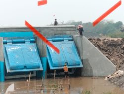 Proyek Irigasi Rawa Rp 27,1 Miliar di Dadahup Blok A Abaikan K3, Pekerja Tanpa APD.