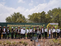 Perkuat Ketahanan Pangan dan Ekonomi Desa, Pertamina Gelar Panen Raya Nangka di Hutan Wanaboga Gunungkidul