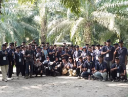 Holding Perkebunan Nusantara Dorong Produktivitas Sawit Rakyat melalui Pembelajaran di Kebun Adolina