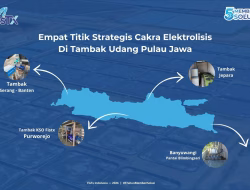 Cakra Elektrolisis, Teknologi Sterilisasi Air Tambak Karya Anak Bangsa, Mulai Dipercaya Tambak Besar di Pulau Jawa