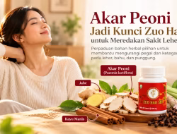 Akar Peoni Jadi Kunci Zuo Hao Shi untuk Meredakan Sakit Leher Belakang