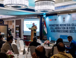 India-Indonesia Jajaki Peluang Investasi di Gujarat Menjelang Vibrant Gujarat Global Summit 2027